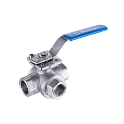 Standard Steel Valve